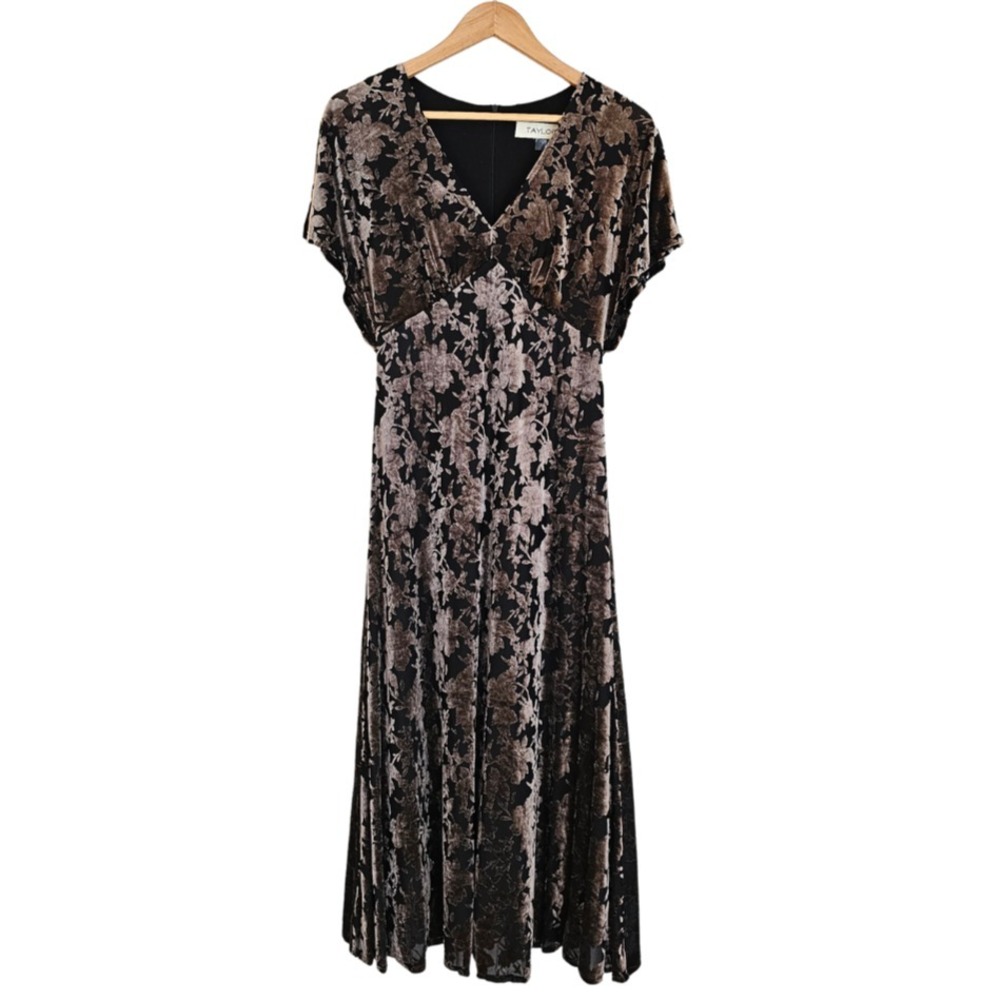 Velvet Burnout Dress Y2K Whimsigoth Fairy Grunge Babydoll Regency Dark Floral 8